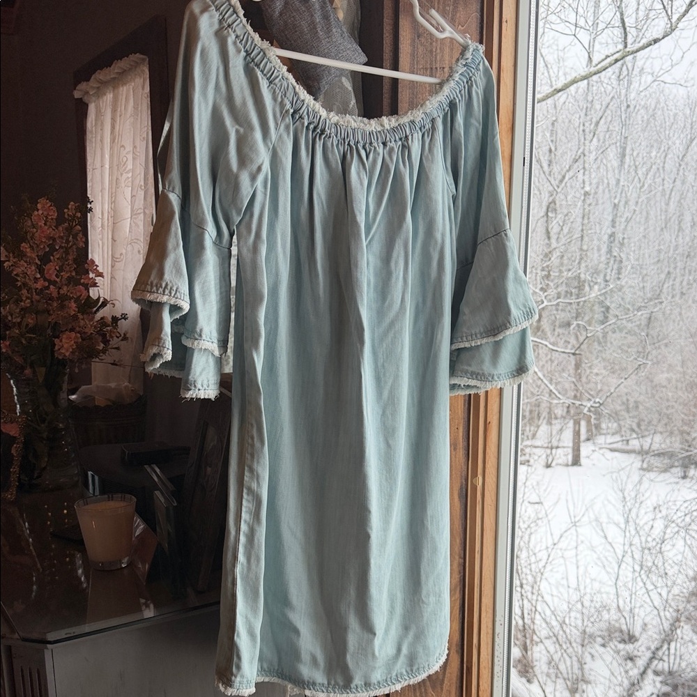 Boston Proper Denim Blue Garment